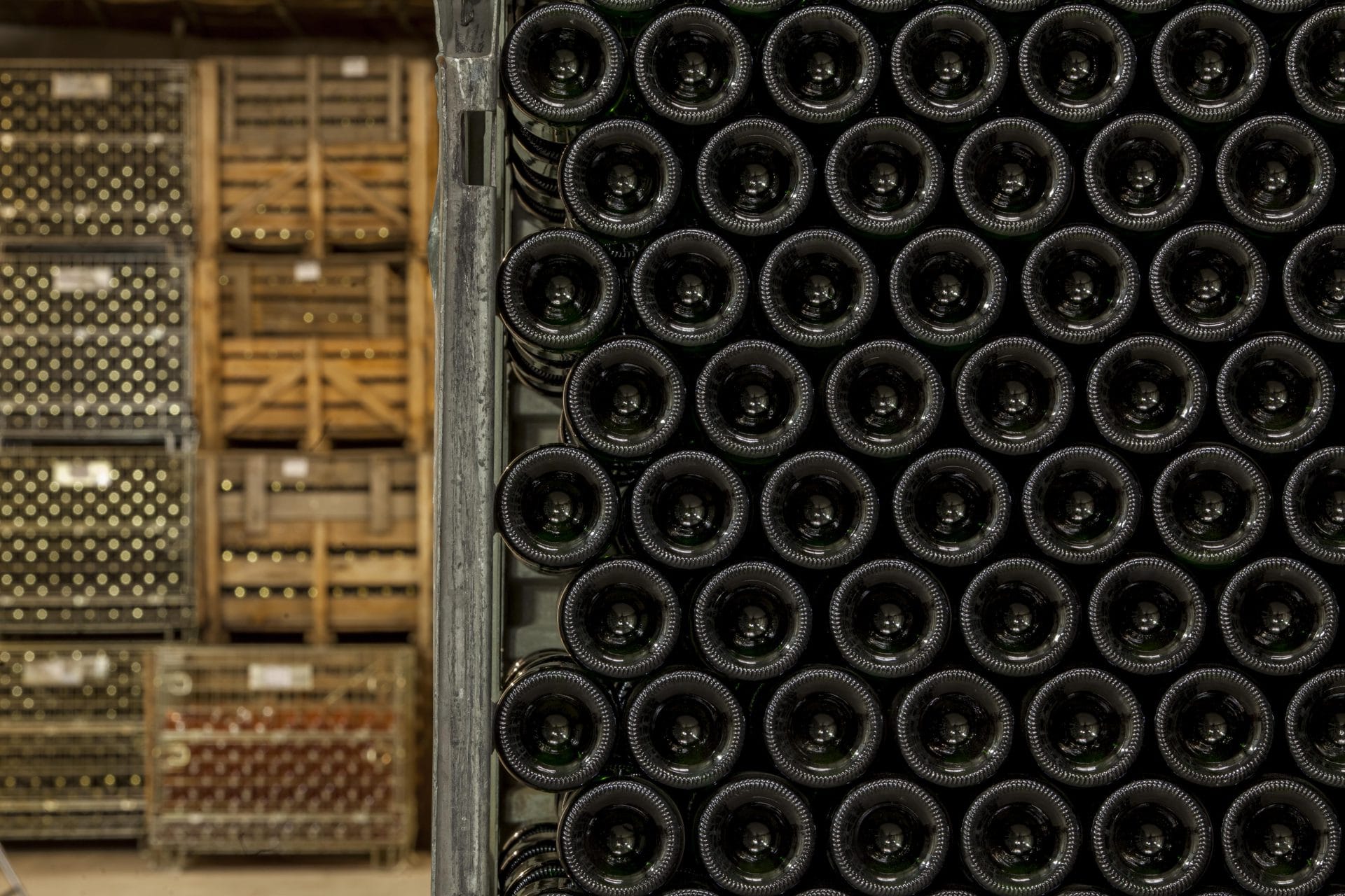 Wijnkelder van Domaine Antech In de Limoux