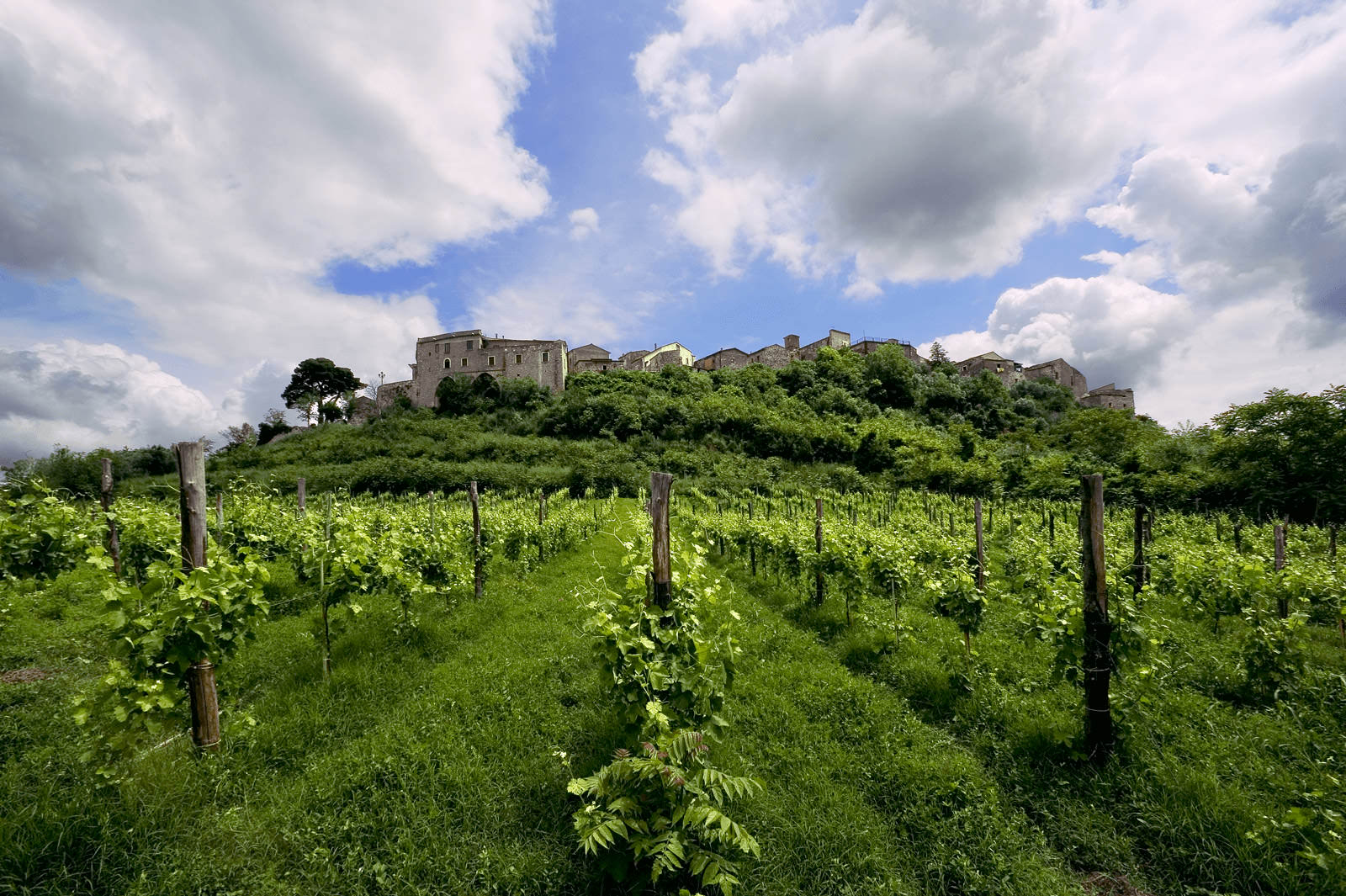 Feudi wijnen Campania Italie