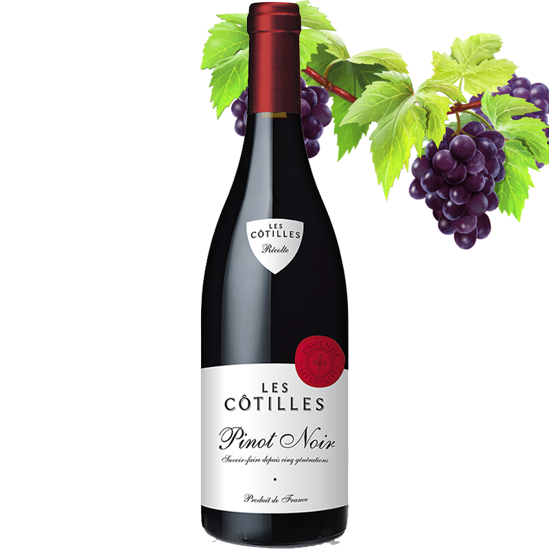 Les Cotilles Pinot Noir 7.99