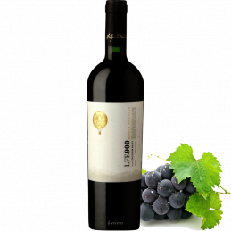 Luis Felipe Edwards 900 single vineyard