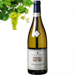 Bouchard Aine & Fils Bourgogne Chardonnay