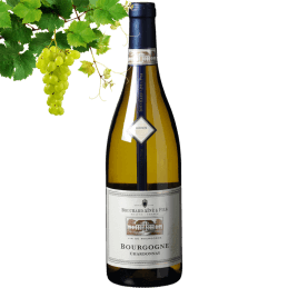 Bouchard Aine & Fils Bourgogne Chardonnay