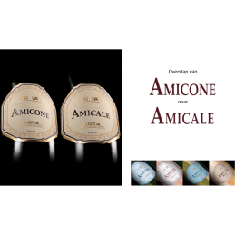 Amicone becomes Amicale
