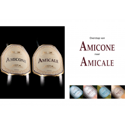Amicone bliver til Amicale