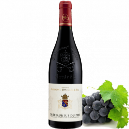 Domaine Usseglio Chateauneuf du Pape Rouge