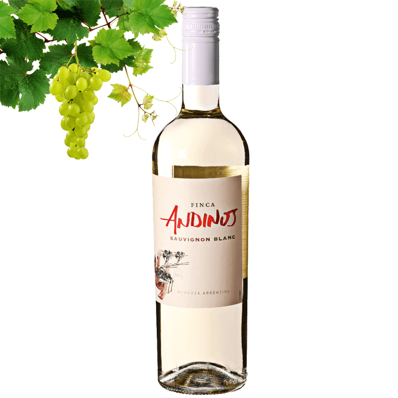 Zuccardi Финка Андинос Sauvignon Blanc