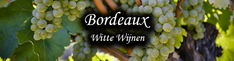Vins blancs de Bordeaux