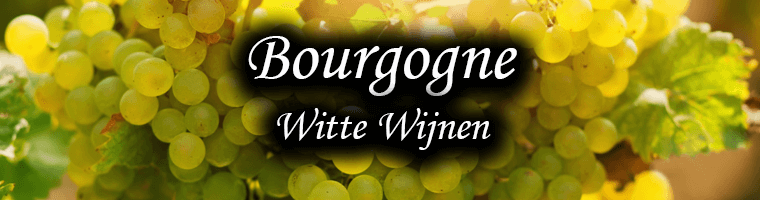 Witte wijnen uit Bourgogne