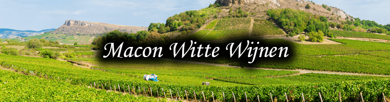 Witte Wijnen uit de Macon