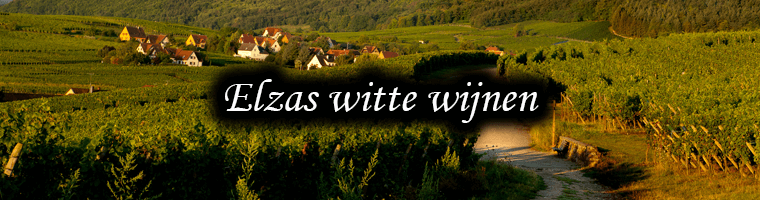 White wines from Alsace