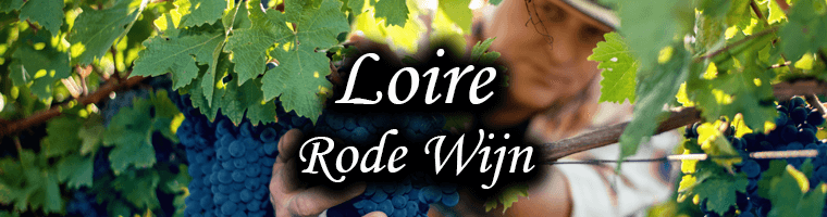 Rode wijnen uit de Loire