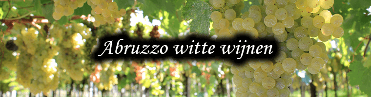 witte wijnen uit Abruzzo