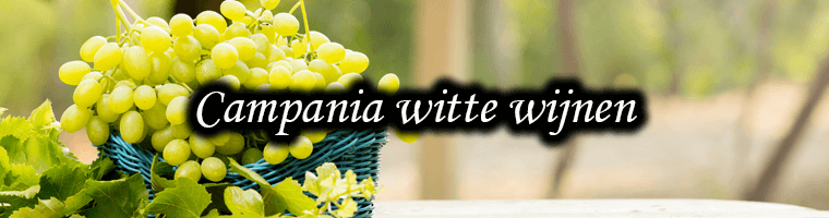 Witte wijnen uit Campania