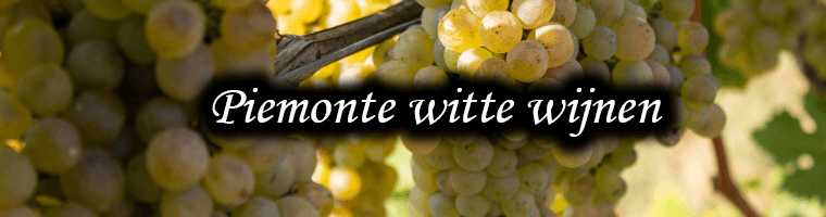 Vinos blancos de Piamonte