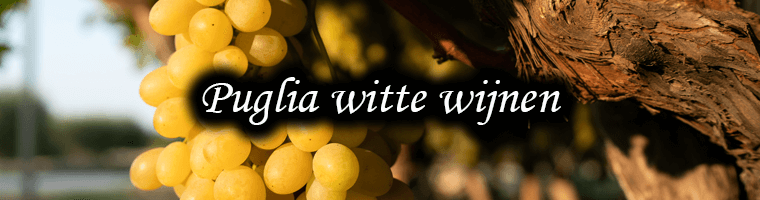 witte wijnen uit puglia