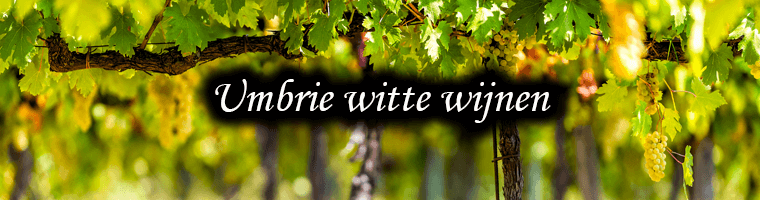 witte wijn uit Umbrie