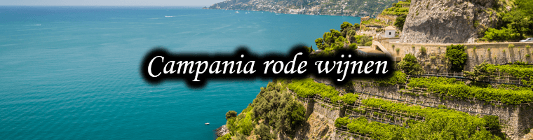 Red wines from Campania