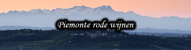 Vinos tintos del Piamonte