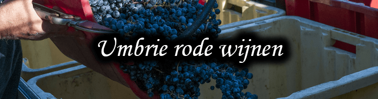 Rode wijnen uit Umbrie