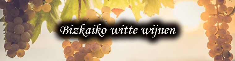 White wines from Bizkaiko