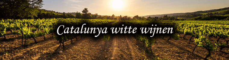 Vins blancs de Catalogne
