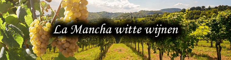 Witte wijnen uit la mancha