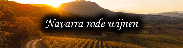 Rode wijnen uit de Navarra
