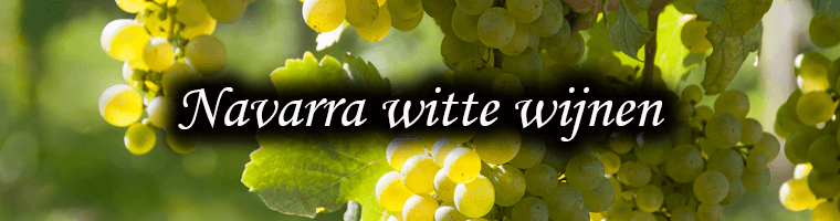 Witte wijnen uit Navarra