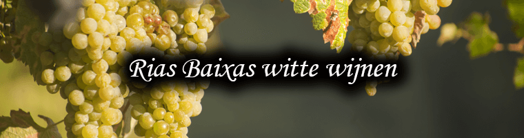 White wines from Rias Baixas