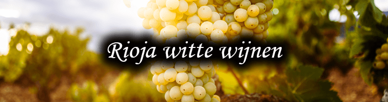Witte wijnen uit de Rioja