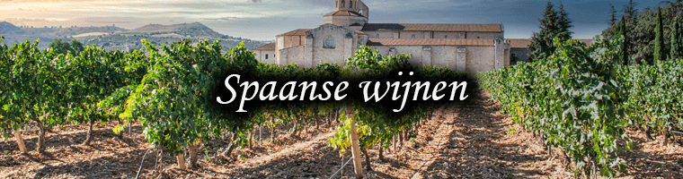 Witte wijnen uit Spanje