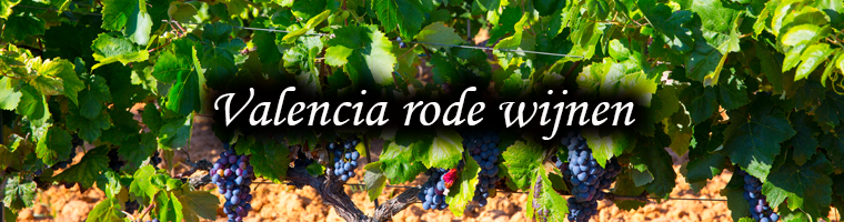 Rode wijnen uit Valencia