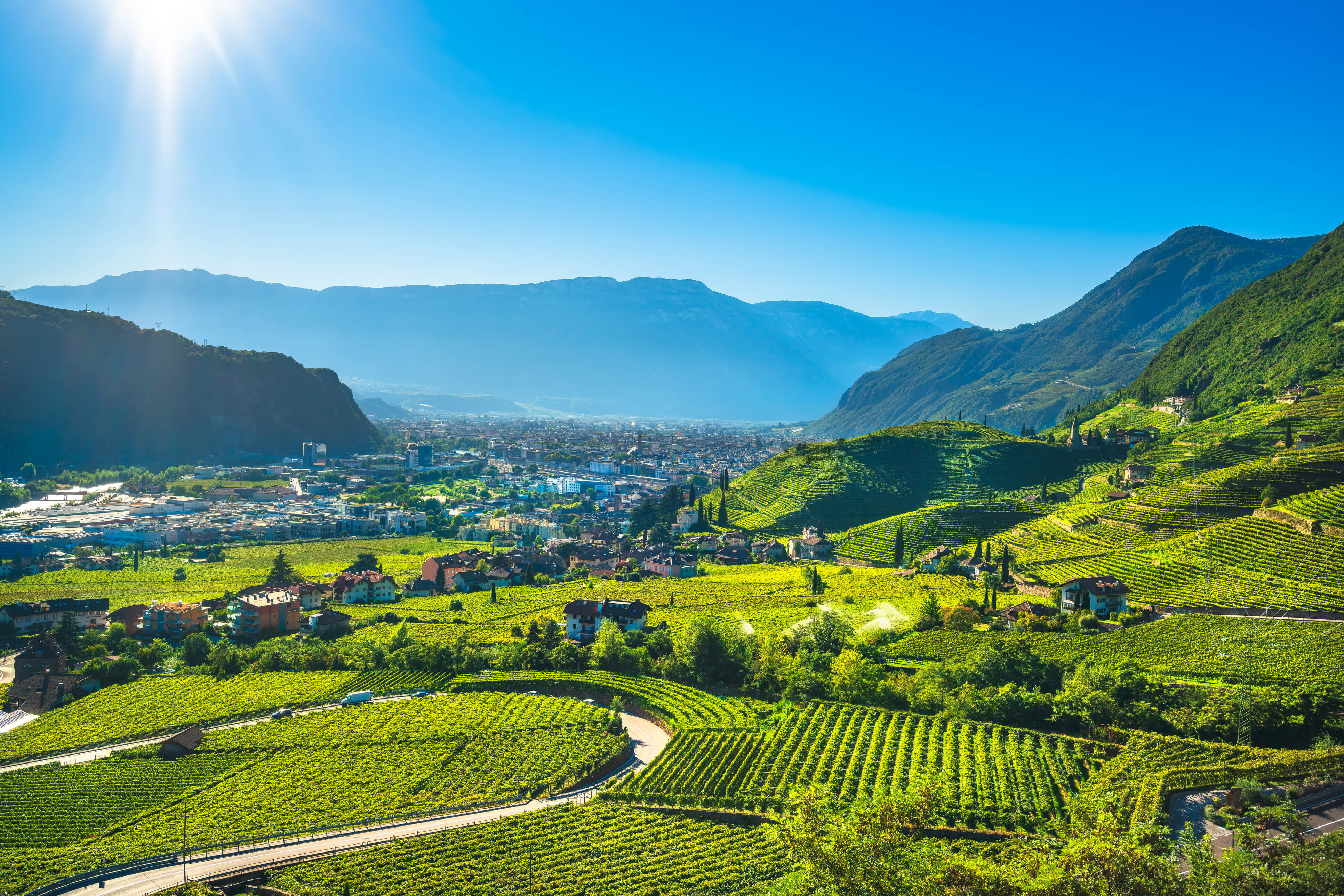 Wijngaarden in Alto Adige