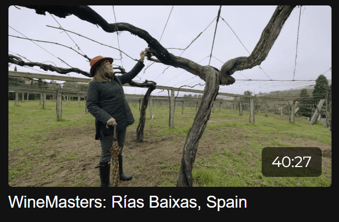 Wine region Rias Baixas Spain