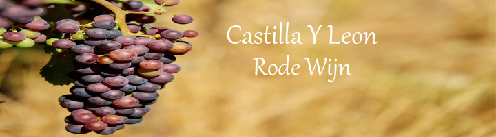 Castilla y leon wijngebied