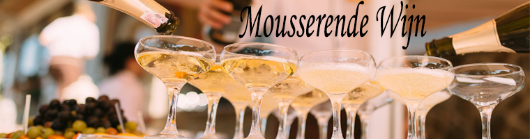 Mousserende wijnen, ook wel bekend als de bubbeltjes wijn worden in Spanje als Cava, in Italie als Prosecco, in Frankrijk als Champagne en Cremant genoemd van zoet tot droog van wit tot rosé.
