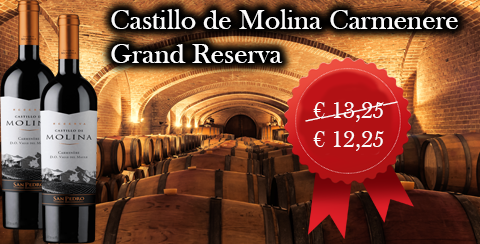 Castillo de Molina Carmenere Grand Reserva
