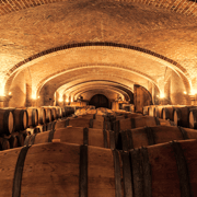Wijnkelder met houten vaten