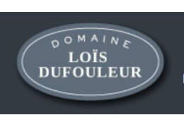 Domaine Lois Dufouleur