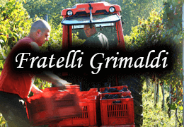 Fratelli Grimaldi