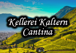 Kaltern Kellerei Cantina