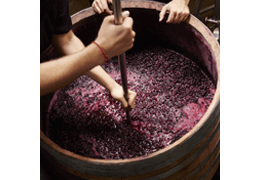 Making wine