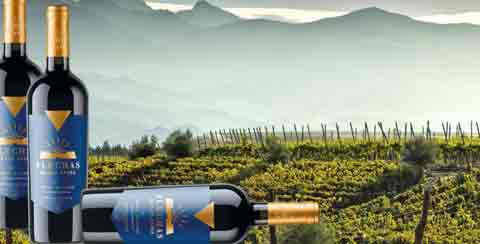 Edmond de Rothschild Flechas de Los Andes Gran Malbec